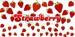 草莓,白色背景,式样,清新,食品,维生素,熟的,甜点心,问候,复古