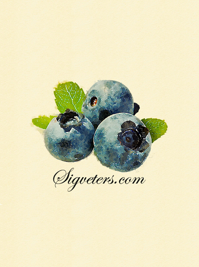 手绘水彩插画 食物水果系列---蓝莓 一...