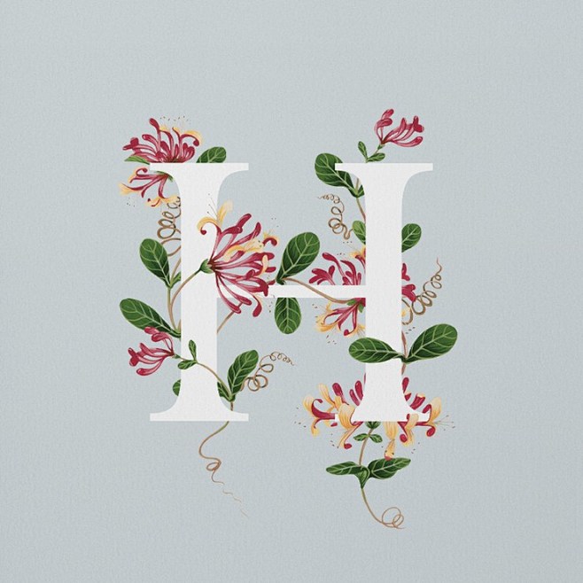 24字母与花卉插画创意字体设计欣赏