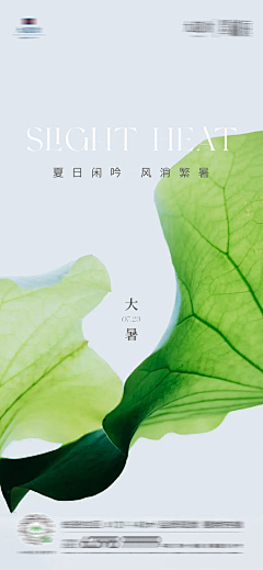 jzqkim采集到宠物