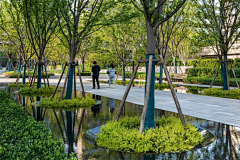 序沐采集到水景