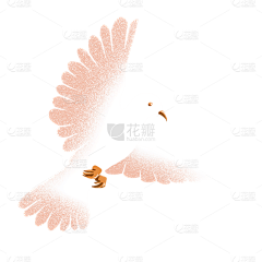 张泽426采集到国庆