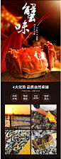 现货六月黄大闸蟹鲜活公母大螃蟹礼盒装顺丰包邮-tmall.com天猫