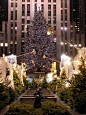 Christmas Tree at Rockefeller Center