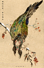 鸟II