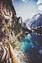 (20) Tumblr