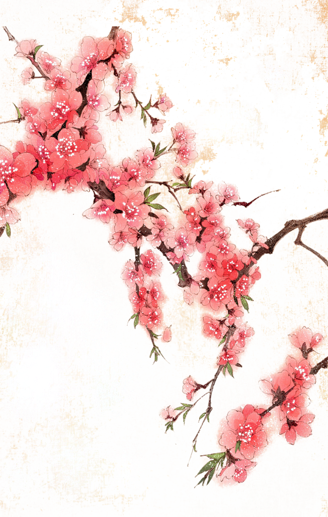 晴空工作室美工云离收集免扣古风|装饰|花...