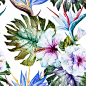 水彩热带植物花朵矢量素材下载-底纹背景-底纹边框-矢量素材 - 集图网 www.jituwang.com