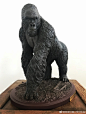 温柔的巨人，开天社X黑商会 博物MUSEUM系列 1/4山地大猩猩 稍后带来详细开箱分享@开天工作室InfinityStudio @黑商会 ​​​​