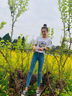 中网美女录采集到鲛鲛
