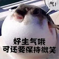 气鼓鼓表情包