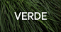 VERDE — Web Design & Development Studio : Digital design and development studio founded by Tudor Prisăcariu. We work with global clients in the fields of art, design and fashion.