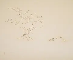 画淡如菊 日本画家... - @鹿妖视界的微博 - 微博