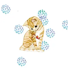 kirara知更鸟  的插画 猫与绣球花