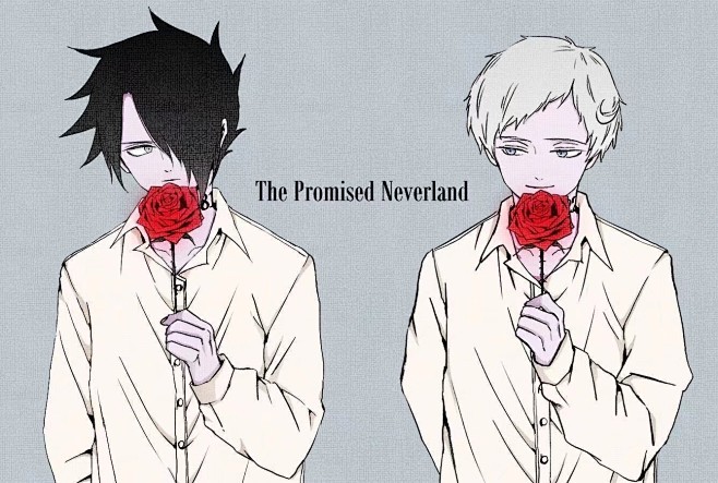 约定的梦幻岛诺曼和雷这组图好赤鸡啊啊啊啊啊