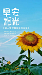 3.10正能量早上好奋斗语录配图片，阳光勉励图片带字