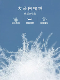 用户Z0zeuCuR采集到待归类采集