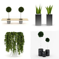扮家家室内设计采集到下得乐素材库-单体模型-植物