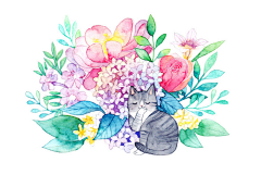 又一支黑色铅笔采集到插画