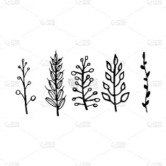 绘画插图,枝,动物手,菜园,环境,天气,春天,装饰物,园林,家庭花园