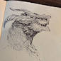 Sketchbook - Dragon heads : my passion, doodle, draw, create, study in my sketchbook