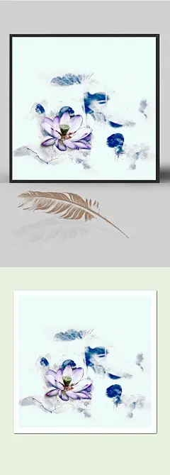 荷花插画
