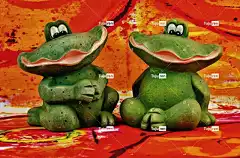 青蛙 人物 乐趣 绿色 可爱的 装饰