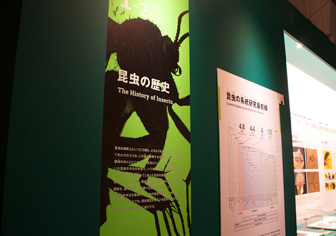 国立科学博物館 特別展「昆虫」_5