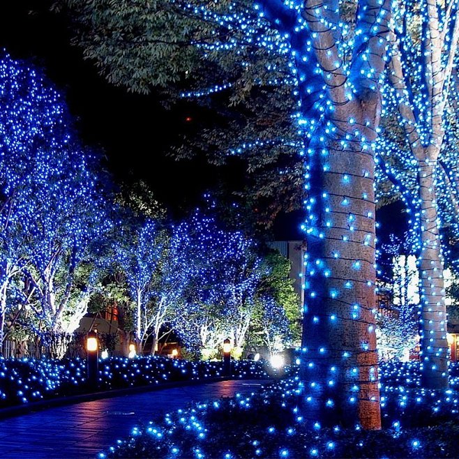 LED满天星节日圣诞树灯挂灯彩灯户外防水...
