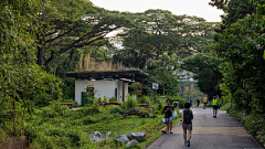 celosia采集到B-park\plaza