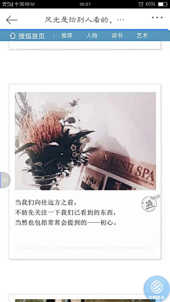 饼干菌丶采集到C参考-文案