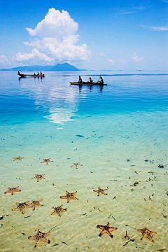 贺兰玥瑶采集到天空。大海