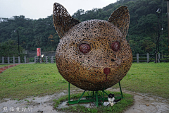 hm2005采集到乡村景观植物