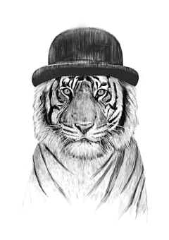 HAO-THE-GREAT采集到Tiger