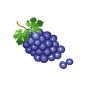 千库网_矢量手绘卡通葡萄_元素编号11712883