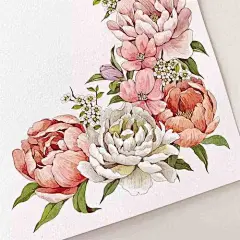 手绘花卉植物/粉色系/清新水彩插画/韩国插画师Yirang Kim绘画作品集/手帐素材/纸胶带素材