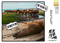AZBXXXA采集到海报