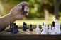户外老人下棋_百度图片搜索