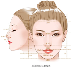 LYM妖灵灵采集到Y——医美#整形手绘