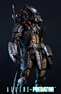 OMG美图：【 PC 】HotToys MMS221 –1/6 AVP-凯尔特/Celtic 铁血战士 2.0兵人在线 - Powered by Discuz!