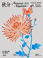 二十四节气花卉 | 24 Solar terms Illustration Design :: Behance