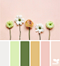 Design Seeds : Your daily dose of inspiration ... for all who love color.