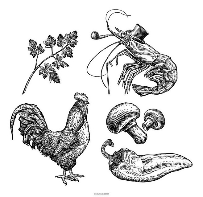 给FOODBOX餐厅的插画-Erikas...