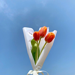 俺是来采花滴采集到花