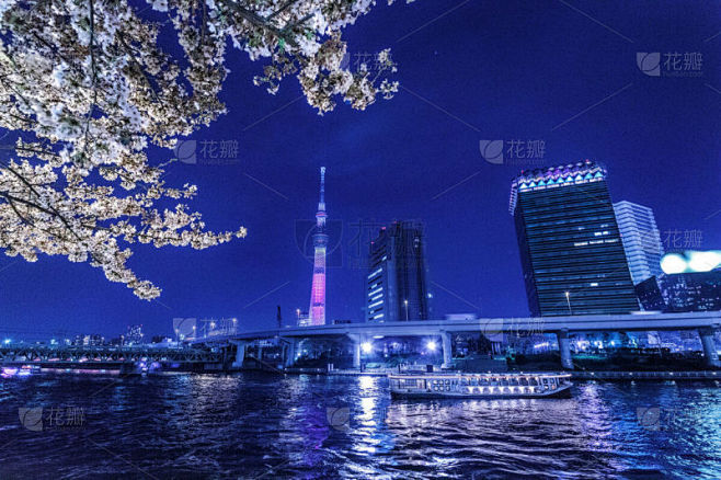 樱桃树,天空,东京天空树,水平画幅,夜晚,无人,日本,东亚,台东区,东京