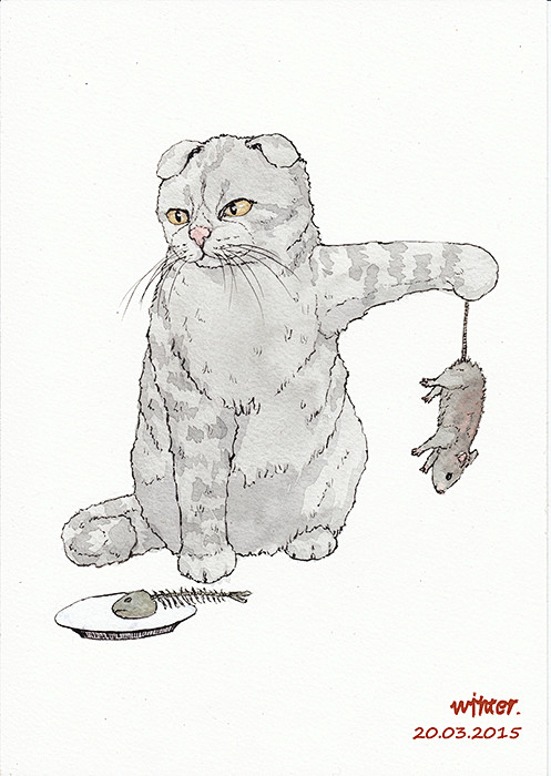 猫：我吃鱼，#水彩#，#猫咪#，#插画#...