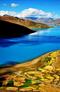 羊卓雍措，【西藏】圣湖。喜马拉雅山北麓最大内陆湖泊，湖光山色之美，冠绝藏南。