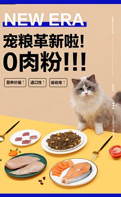 凹脸采集到宠物