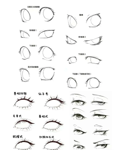 用户JZMs2RCN采集到眼睛