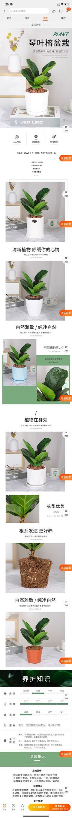阿狗无语采集到绿植